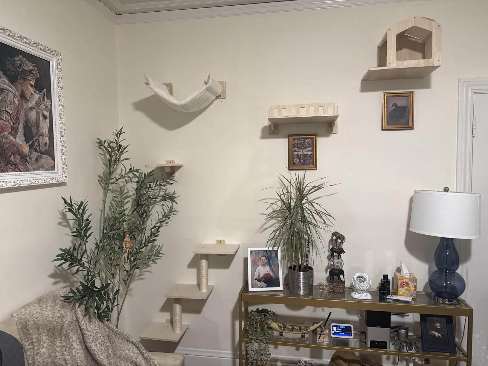 5-in-1 Cat Wall Shelves for Large Cat, Large Hammock, Wide Perch | Cat Wall Climbing Furniture Set, 16 inch Large Hammock, 17 inch Wide Perch, Cat Condo, Scratching Posts, Indoor Cats, Easy Assembly customer photo 2