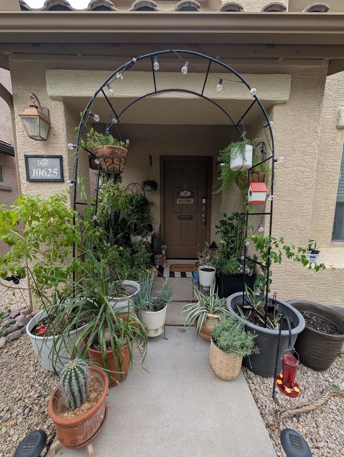 Garden Arch Galvanized Metal Rust-Proof Heavy Duty for Climbing Vines Roses | 7.6ft H x 4.6ft W Upgrade Garden Arbor for Plants, Flowers, Clematis, Jasmine, Party Decor for Wedding, Halloween, Christmas customer photo 2