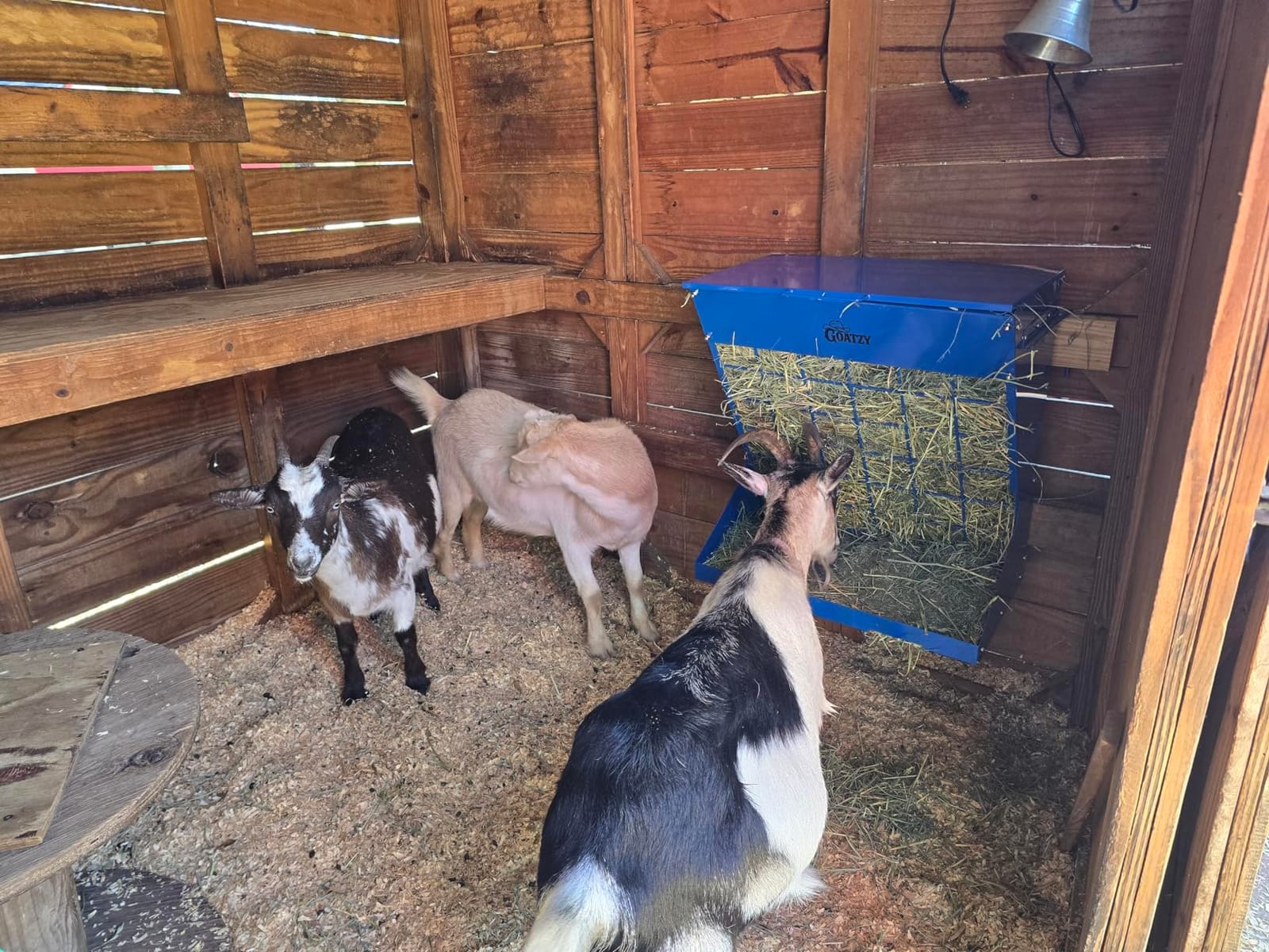 Wall Mount Hay Rack And Hay Feeder For Goats Sheep And Horses, Covered Galvanized Steel Goat Hay Feeder With Hinged Roof, 25 Gallon 2-In-1 No Waste Hanging Holder Grain Bin with hook For Cattle customer photo 2