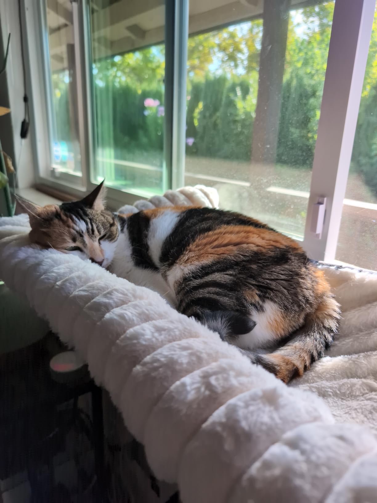 Cloud-Soft Cat Window Sill Perch, Zipper Design Cushion Pet Bed, L | Solid Wood & Sturdy Metal Frame, Machine Washable, Unobstructed Front View, Panoramic and Roomy Cat Hammock for Large Cats customer photo 1
