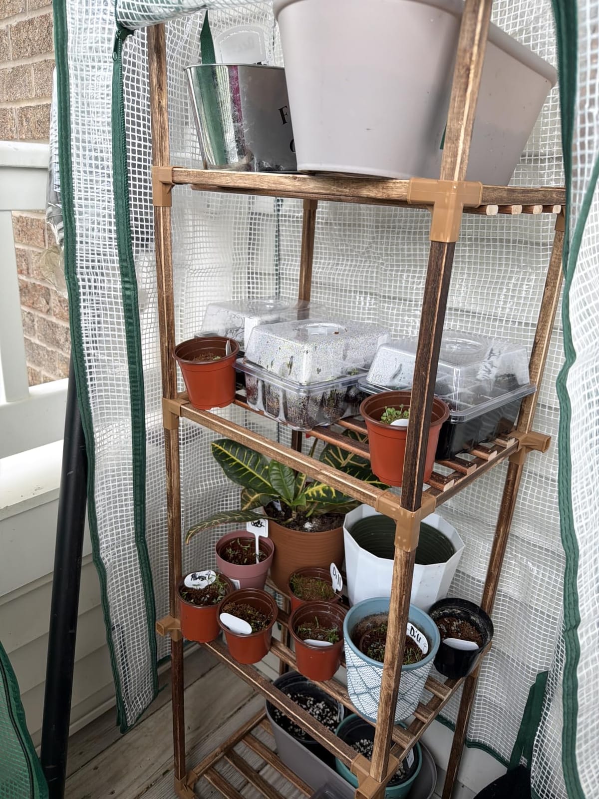 Bamworld Greenhouse for Outdoors Small Plant Green House 3-Tier Portable Plant Stand with Durable PE Cover for Seedling Ideal Gardening Gifts for Women Plants Lover customer photo 2