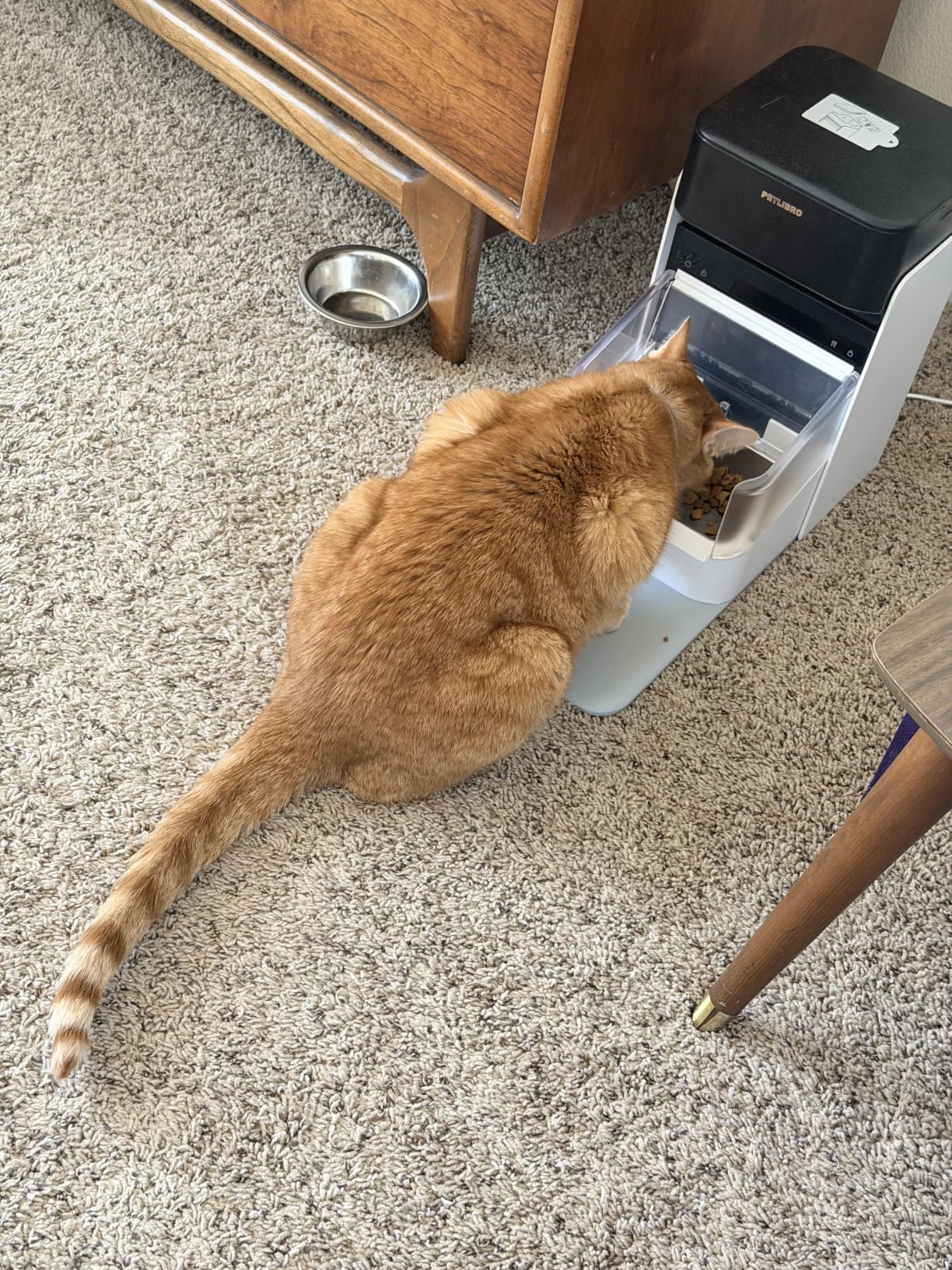 PETLIBRO RFID Automatic Cat Feeder, Collar Sensor for Personalized Meals, Cats Recognition, Diet Tracking and Anti-Stealing for Multi-Pets Homes and Different Diets, Wi-Fi Programmable Food Dispenser customer photo 1
