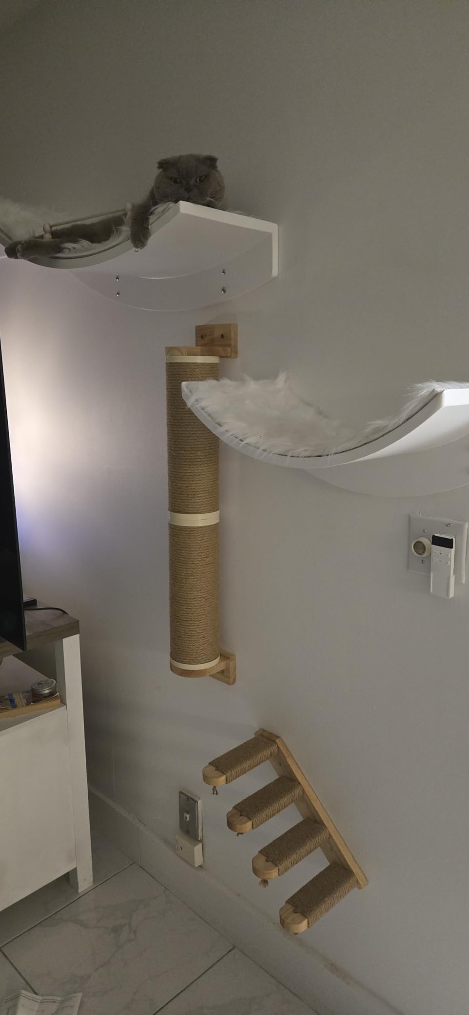 FUKUMARU Cat Climbing Shelf Wall Mounted, Large | Four Step Cat Stair, Natural Jute Scratching, Solid Rubber Wood, Kitten Shelves Furniture customer photo 1