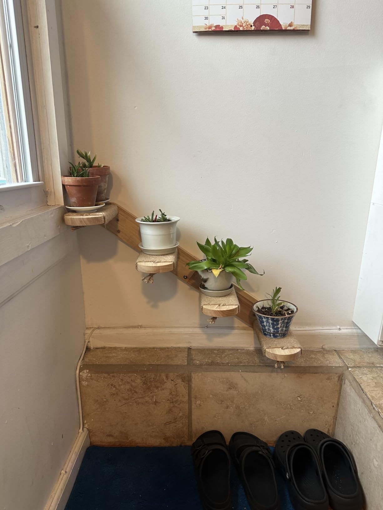 FUKUMARU Cat Climbing Shelf Wall Mounted, Large | Four Step Cat Stair, Natural Jute Scratching, Solid Rubber Wood, Kitten Shelves Furniture customer photo 2