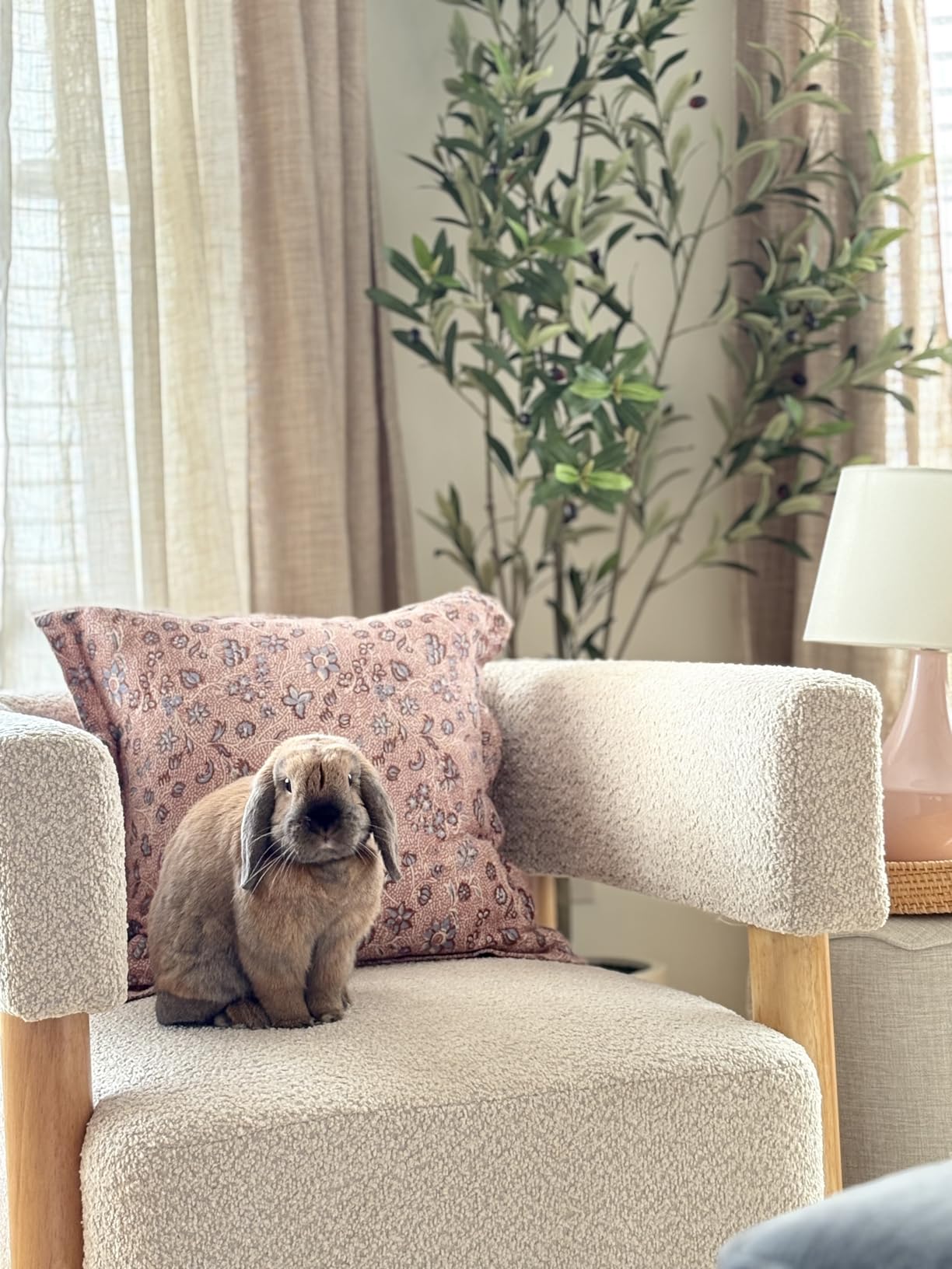 Christopher Knight Home Carly Low Profile Accent Chair, Round Backrest Side Chair, Living Room Armchair with Boucle Fabric Cushion, Comfy Reading Chair for Bedroom, Wooden Single Lounge Sofa, Wheat customer photo 2