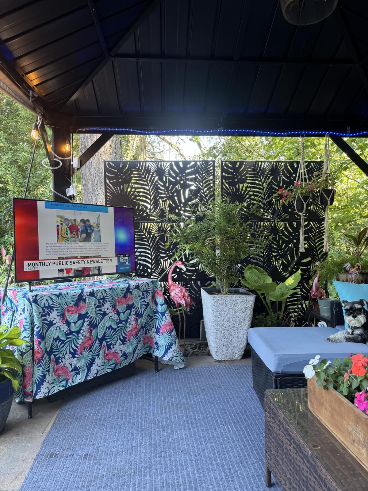 Metal Privacy Screen Outdoor - 72in Decorative Laser Cut Steel Garden Divider Panel with Tropical Leaf Design, Weatherproof Freestanding Modern Privacy Fence for Patio, Deck, Backyard & Balcony customer photo 1