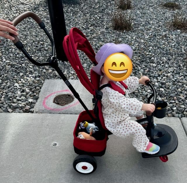 Radio Flyer City 4-in-1 Stroll 'N Trike, for Riders 1-5 Years Old, Teal | Stroller Tricycle for Toddlers, 4 Riding Modes, 3 Point Harness with Comfort Pad, Parent Controlled Steering, Rear Storage customer photo 2
