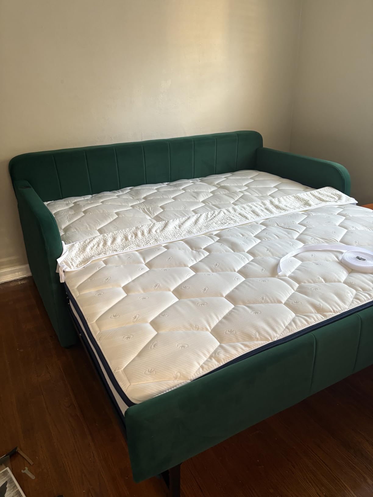 Twin To King Daybed with Pop Up Trundle, Upholstered Button Tufted Velvet Day Bed Frame with USB Ports & Side Pockets, Modern Sofa Bed for Living Room, Bedroom, Guest Room, No Box Spring Needed (Beige) customer photo 2