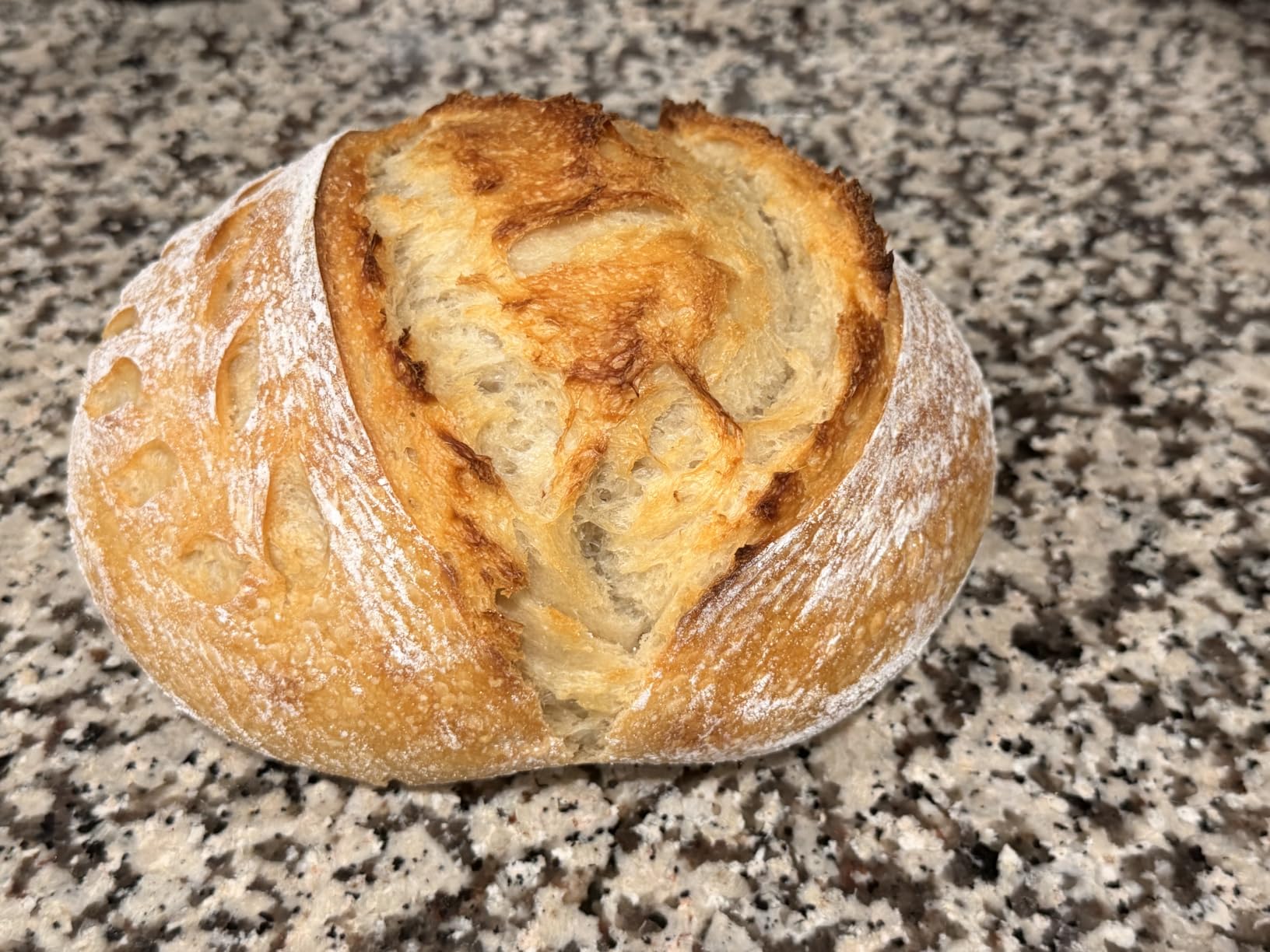 Brod & Taylor Banneton Boule 8.5