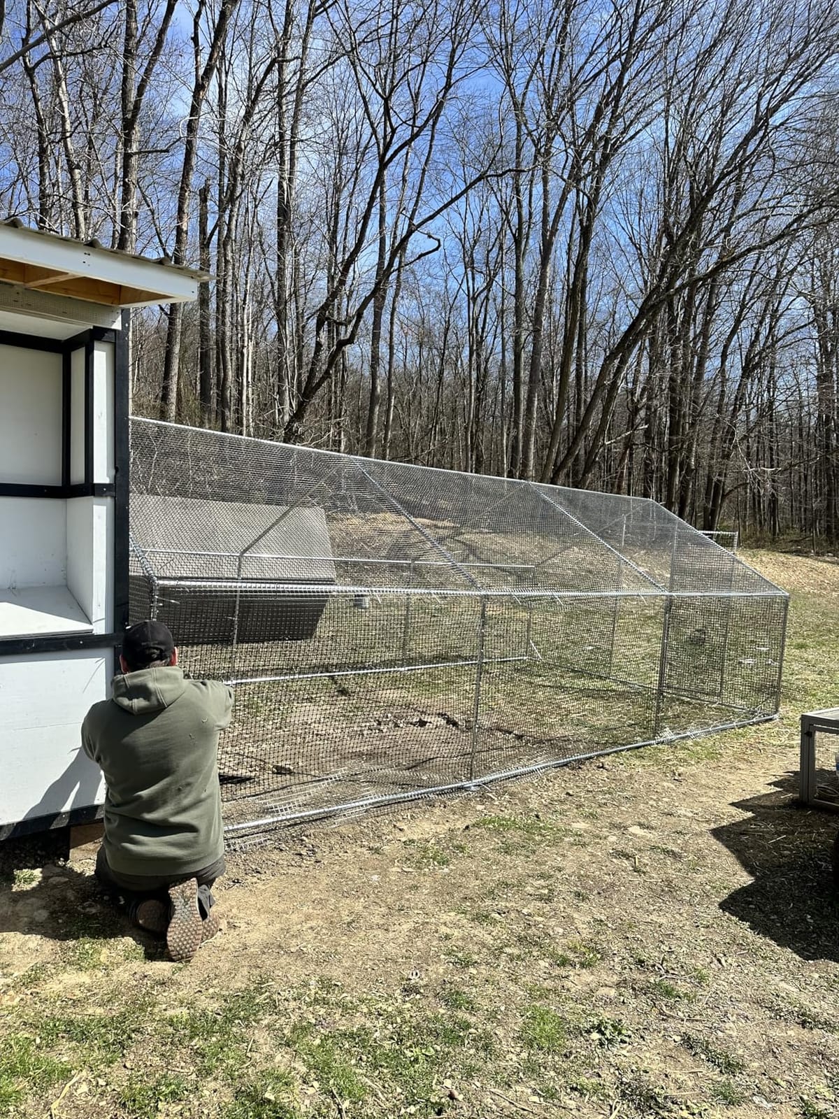 CAMMOO Metal Chicken Coop, 13.1x9.8x6.6ft Chicken Run for Yard with Cover | Upgrade Double Lock & Mesh, Stainless Steel Ties, Easy Assembly, Chicken Pen for Ducks, Rabbits customer photo 2
