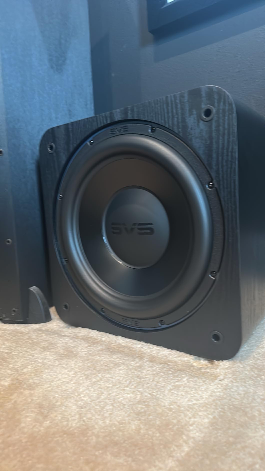SVS SB-3000 R|Evolution Sealed Subwoofer - Black Ash customer photo 1
