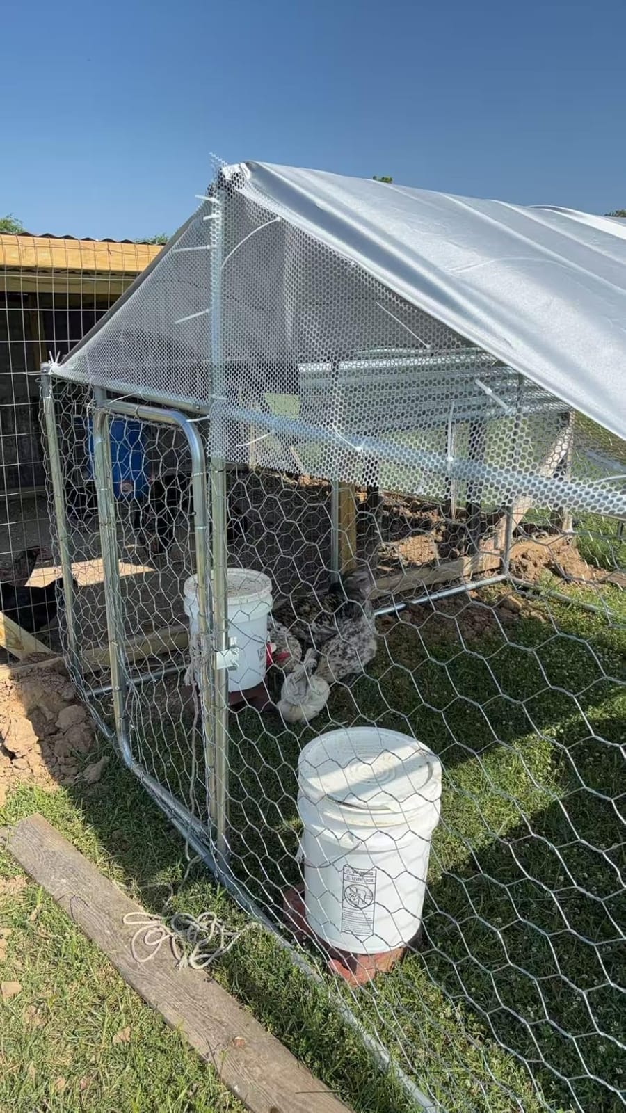 20x10 FT Large Dog Kennel Outdoor Dog Run with Roof for Large Dog Dog Kennel Outdoor with Heavy-duty Steel Frame Waterproof and UV-Resistant Canopy Security Lock Backyard Use customer photo 1