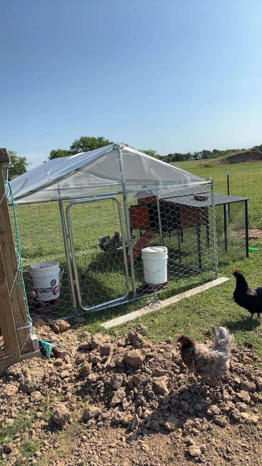 20x10 FT Large Dog Kennel Outdoor Dog Run with Roof for Large Dog Dog Kennel Outdoor with Heavy-duty Steel Frame Waterproof and UV-Resistant Canopy Security Lock Backyard Use customer photo 2