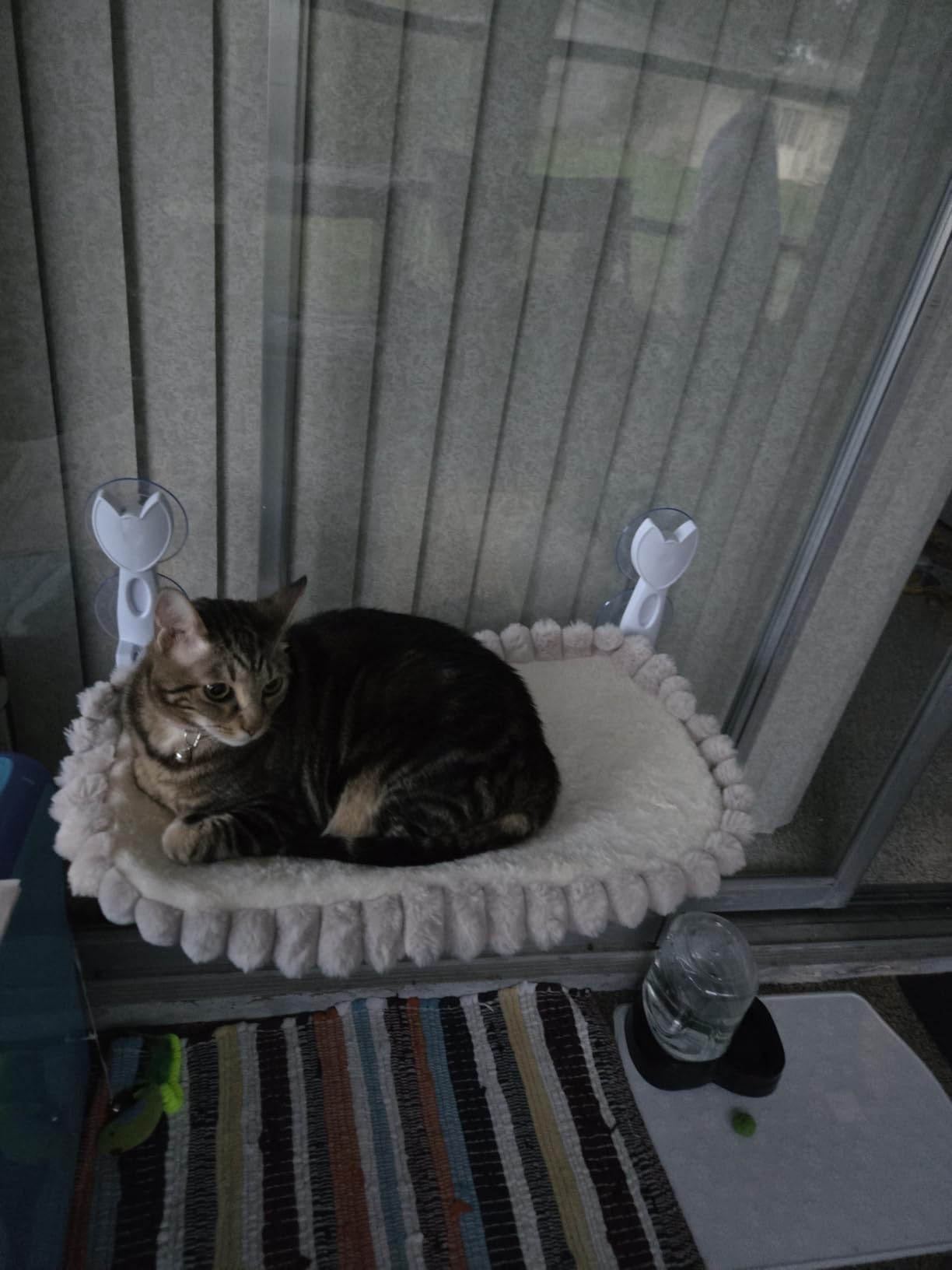 Cat Window Hammock - Beige Cordless Foldable Perch for All Cats | Cordless Foldable, Cat Window Hammock, Large Cats, Sturdy Metal Frame, 40 lbs Capacity, Strong Suction Cups, Easy Install customer photo 1
