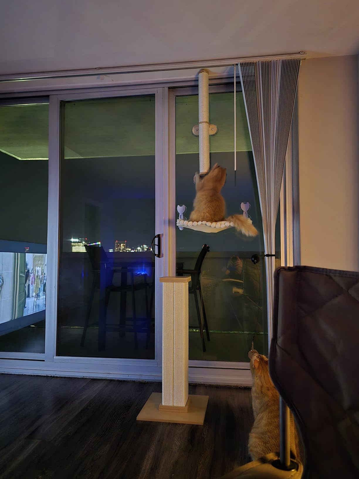 Cat Window Hammock - Beige Cordless Foldable Perch for All Cats | Cordless Foldable, Cat Window Hammock, Large Cats, Sturdy Metal Frame, 40 lbs Capacity, Strong Suction Cups, Easy Install customer photo 2