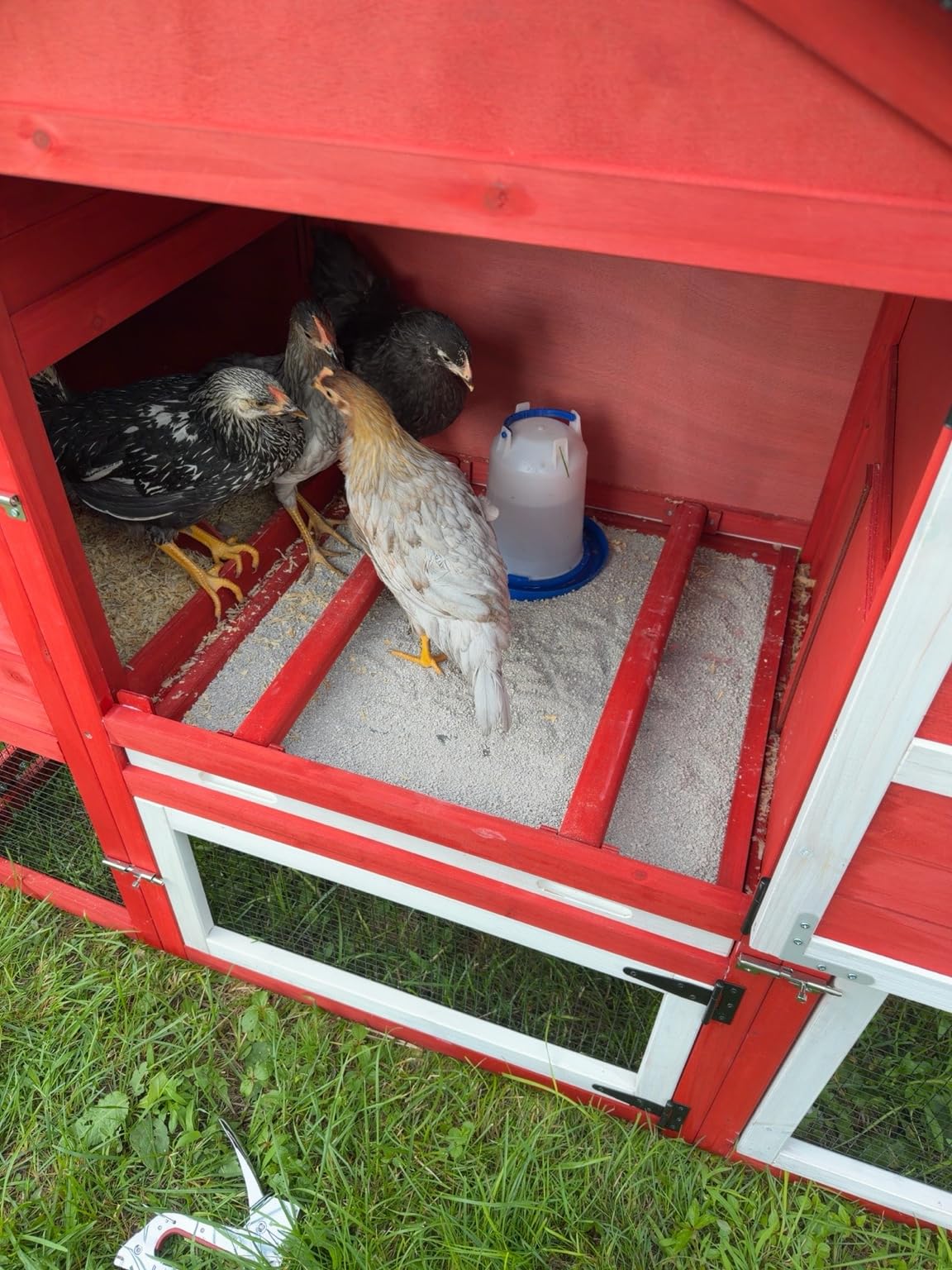 Aivituvin Mobile Chicken Coop with Wheels for 4-6 Chickens, Backyard Expandable Chicken House Duck Cage with Run, 2 Nesting Boxes, Easy Clean Pull-Out Tray, Leak-Resistant Asphalt Roof, 82.4