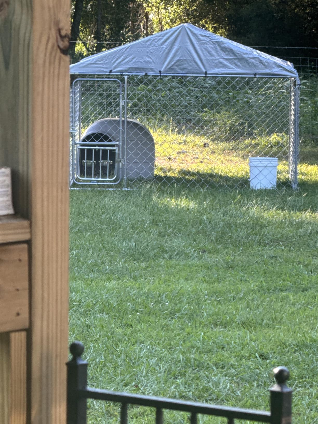 YITAHOME 10'x10' Outdoor Dog Enclosure with Metal Dog Gate | Dog Kennel Outside with Roof, Dog Fence Outdoor for Yard customer photo 2