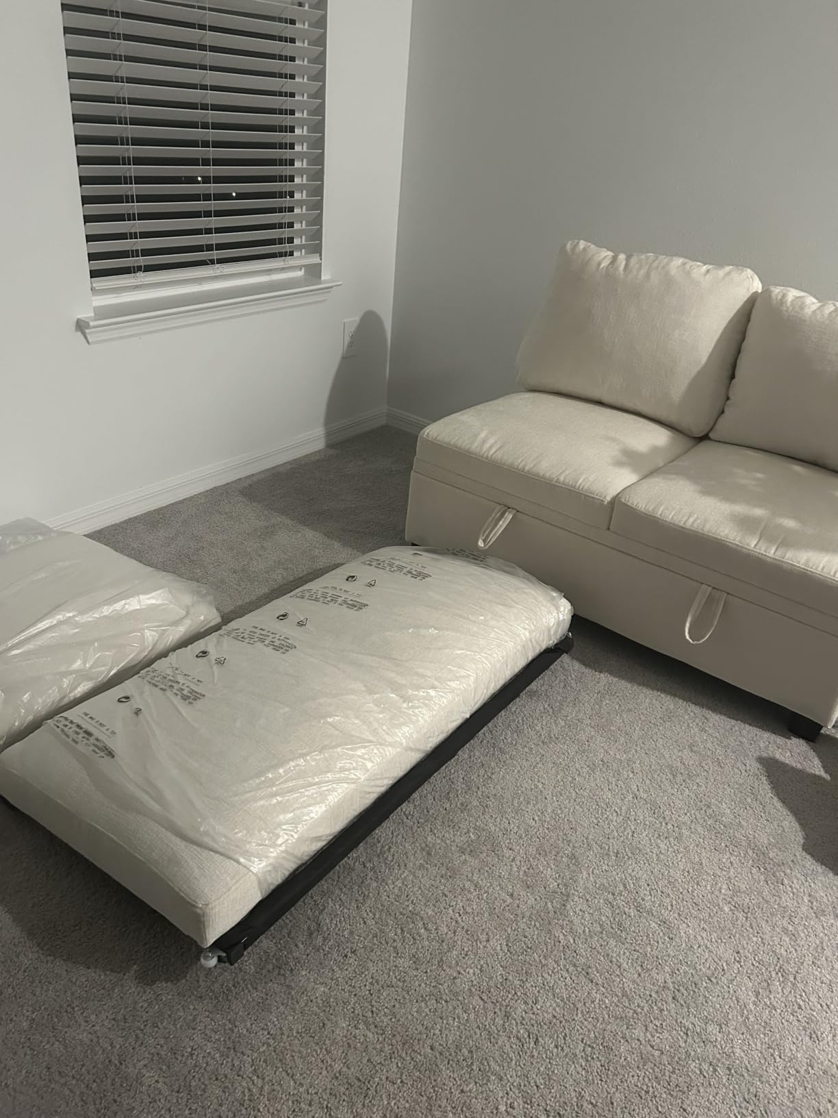 85 Inch Modular Sectional Sleeper Sofa with Pull Out Bed, L Shaped 5 Seat Sectional Couch with Storage, Modern Chenille Cloud Couch, Convertible Sectional Couches for Living Room, Apartment, Beige customer photo 1