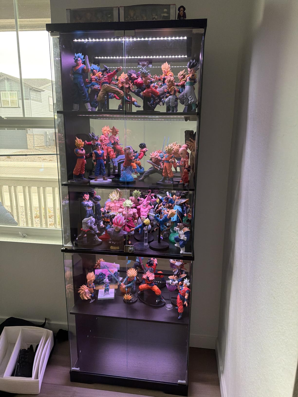 Dystler Glass Display Cabinet with Doors and RGB LED Lights | 69
