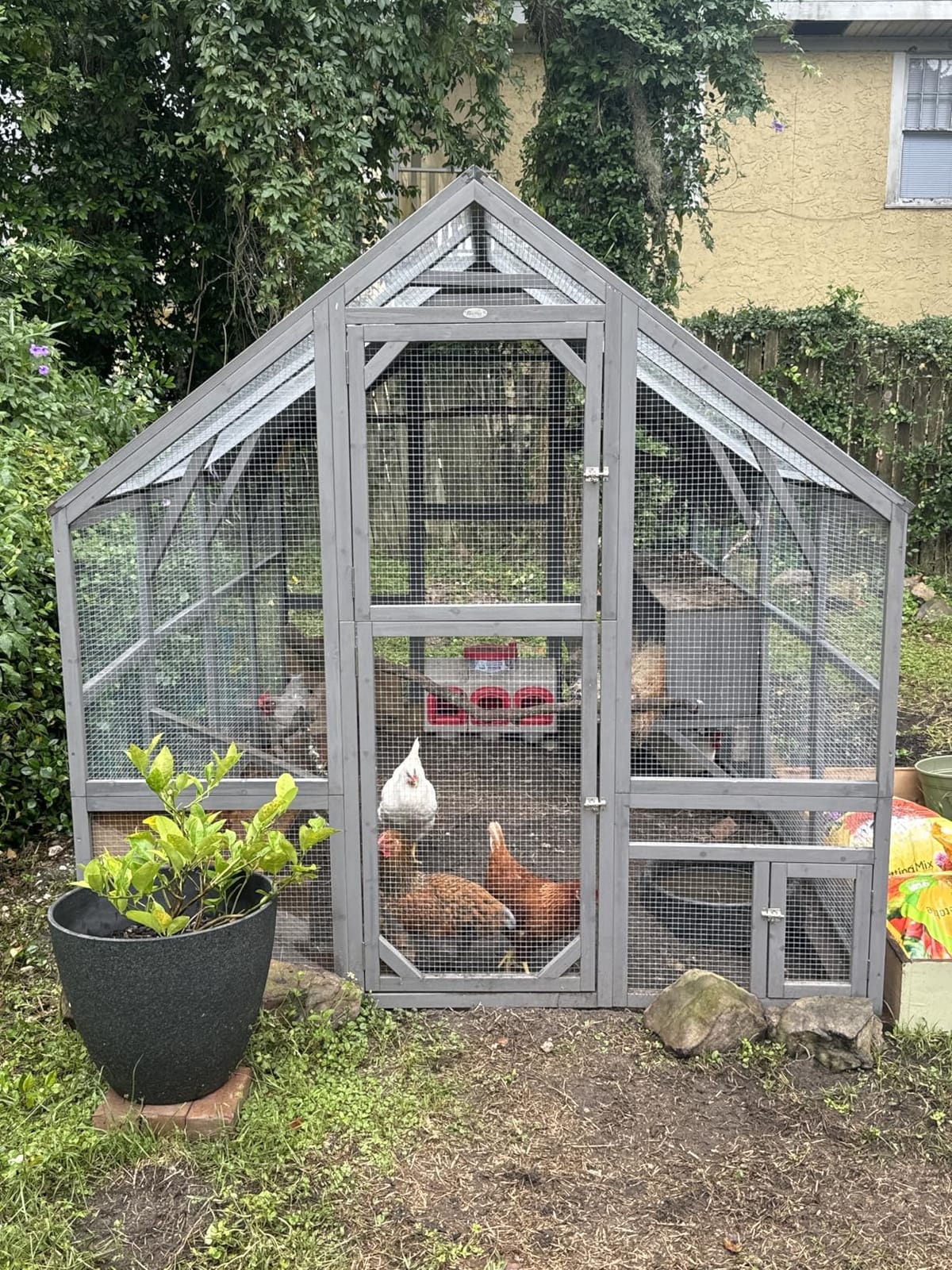 PawHut Large Wooden Chicken Coop for 8-10 Hens 83
