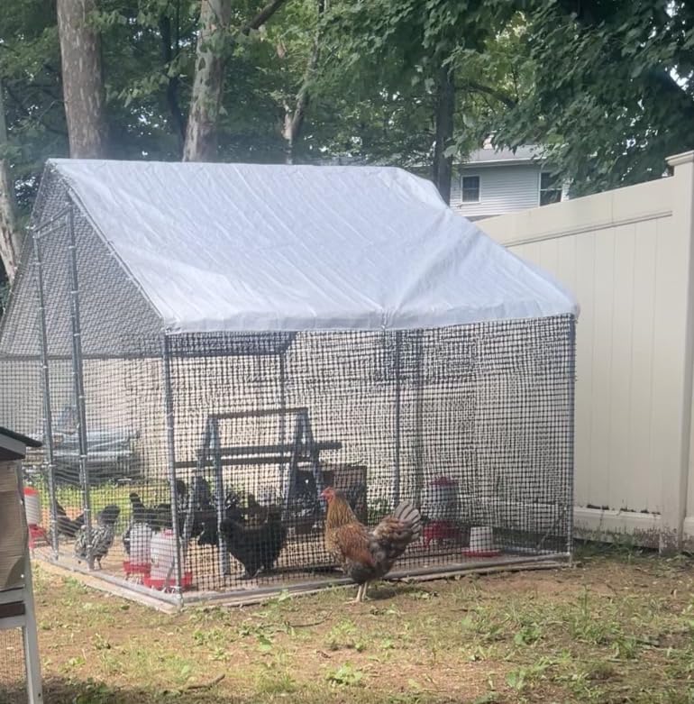 Large Walk-in Chicken Coop with Chicken Run, Galvanized Poultry Enclosure with Waterproof Anti-UV Cover and Security Lock, Ideal for Rabbit, Duck, Backyard and Farm Yard, 13.1'x 9.8'x 6.6' customer photo 1