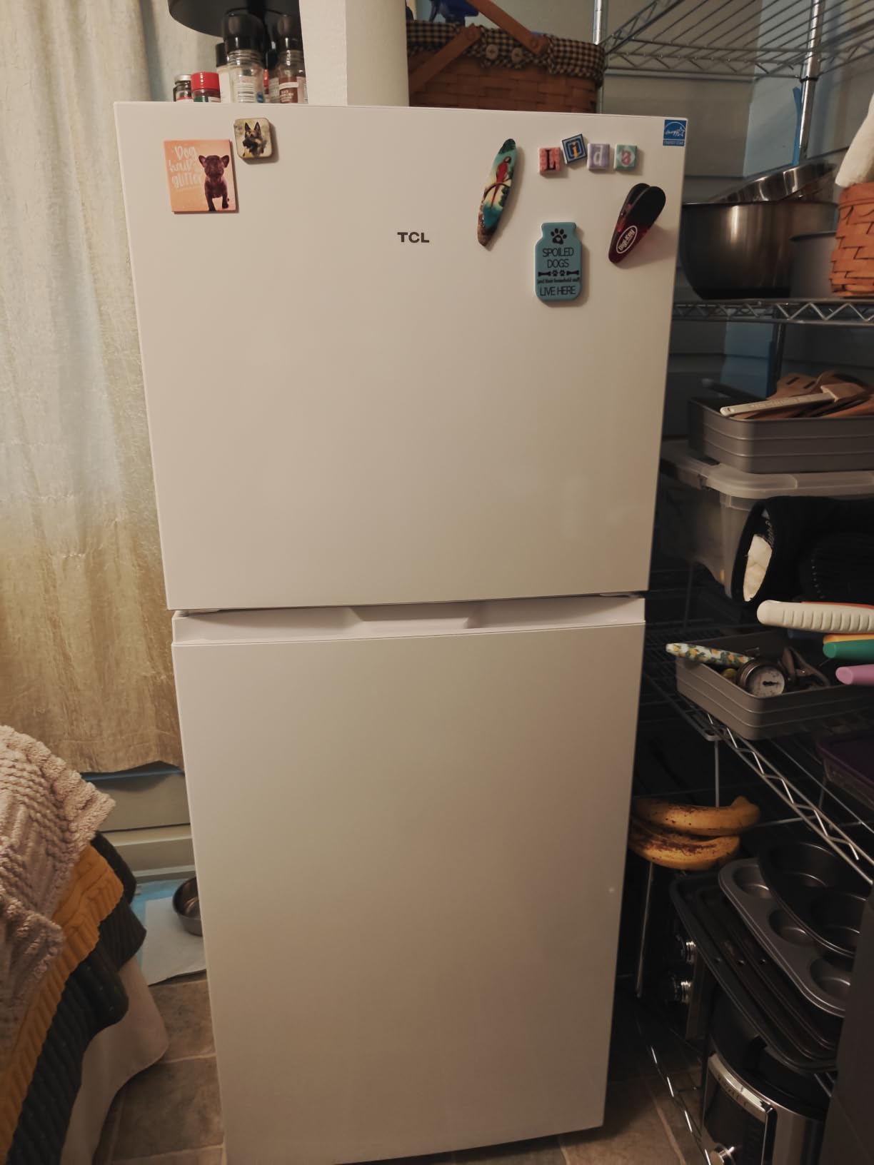 TCL 11.6 Cu. Ft. Counter-Depth Refrigerator with Freezer, Silver | Frost Free, Energy Efficient customer photo 1