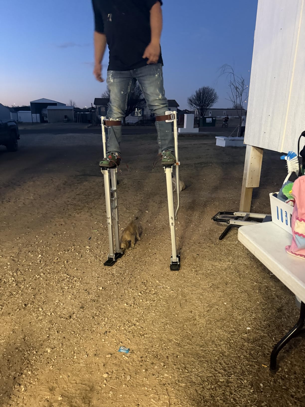 VEVOR Drywall Stilts, 16.1-24.1 in Adjustable Aluminum Painter Stilts, 228 lbs Load Capacity, Non-Slip Rubber Feet, Dual Spring Shock Absorption, Comfortable Leg Straps for Painting, Decoration, Silver customer photo 1