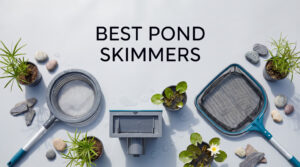 best pond skimmers