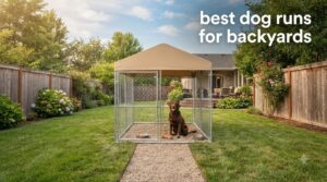 best dog runs for backyards