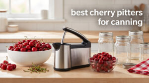 best cherry pitters for canning
