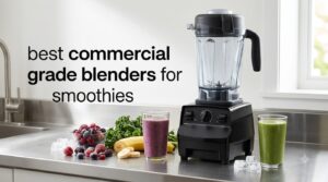 best commercial grade blenders for smoothies