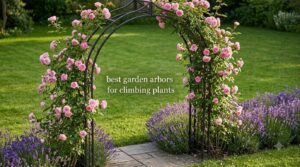 best garden arbors for climbing plants