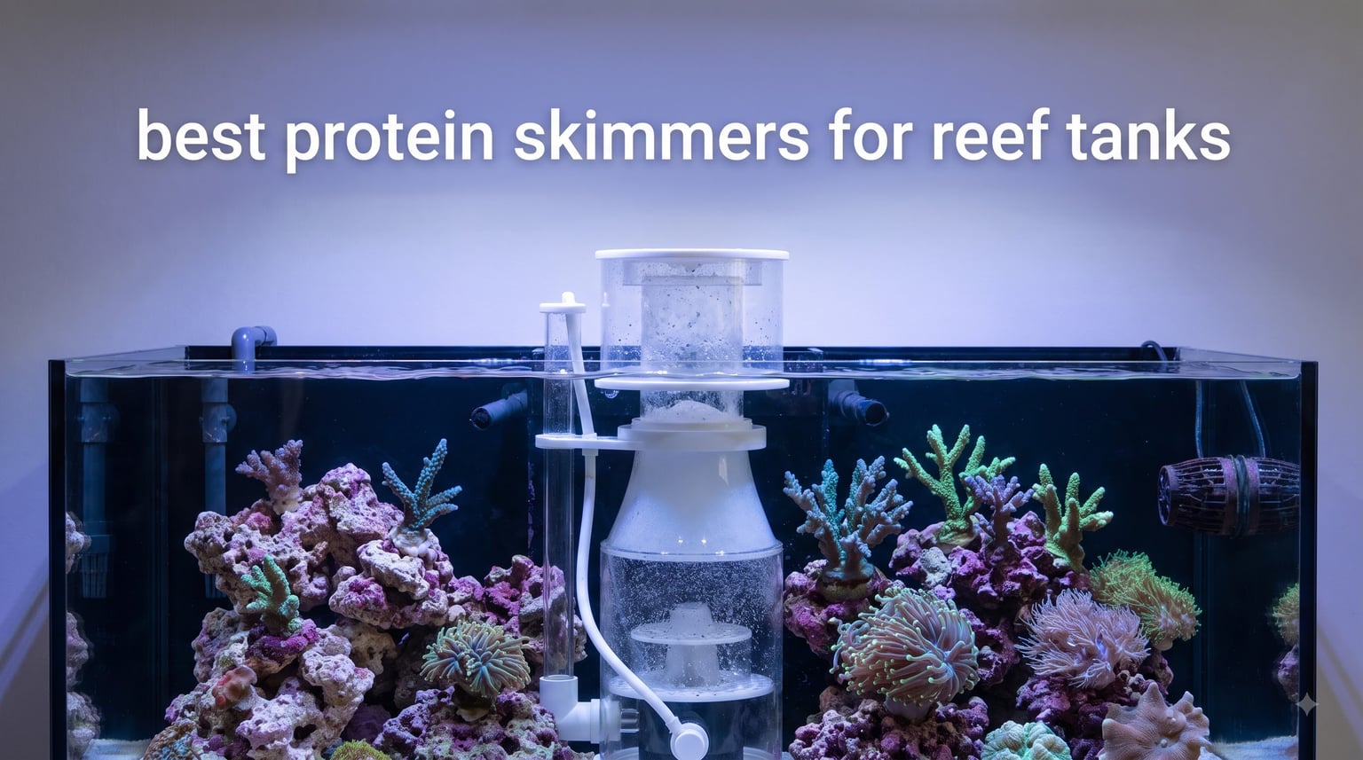 best protein skimmers for reef tanks