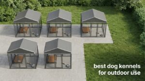 best dog kennels for outdoor use