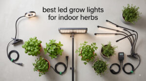 best led grow lights for indoor herbs