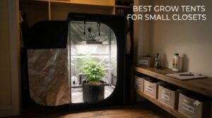 best grow tents for small closets