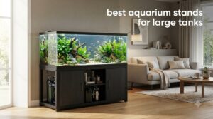 best aquarium stands for large tanks