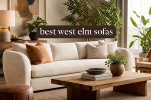 best west elm sofas