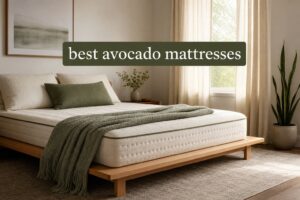best avocado mattresses