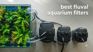 best fluval aquarium filters