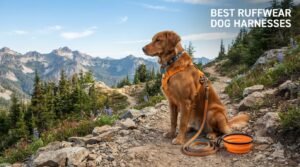 best ruffwear dog harnesses