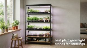 best plant grow light stands for seedlings