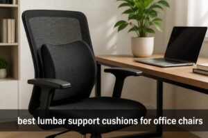 best lumbar support cushions for office chairs