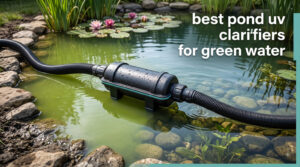 best pond uv clarifiers for green water