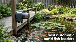 best automatic pond fish feeders