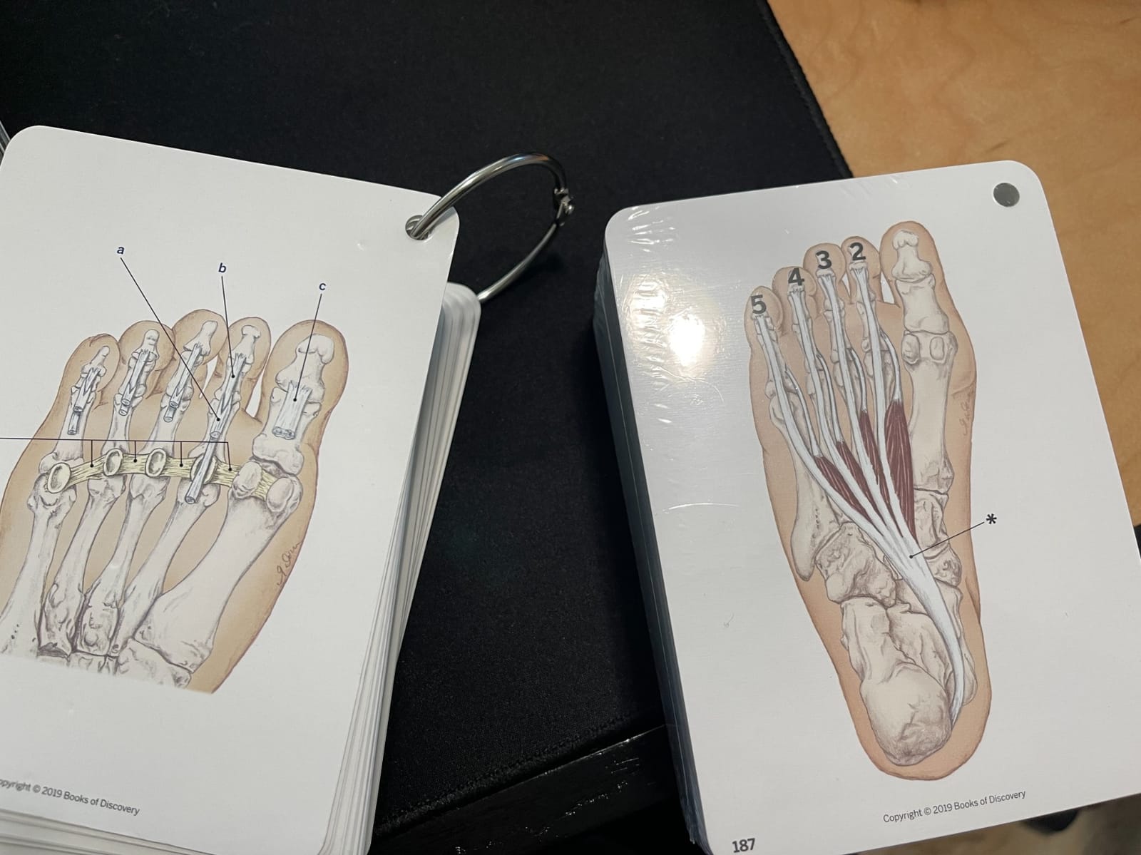 Trail Guide to the Body Flashcards, Vol 1 customer photo 2