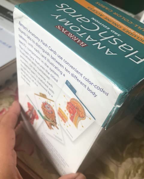 Anatomy Flash Cards (Barron's Test Prep) customer photo 1