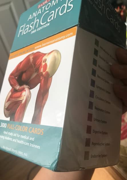 Anatomy Flash Cards (Barron's Test Prep) customer photo 2