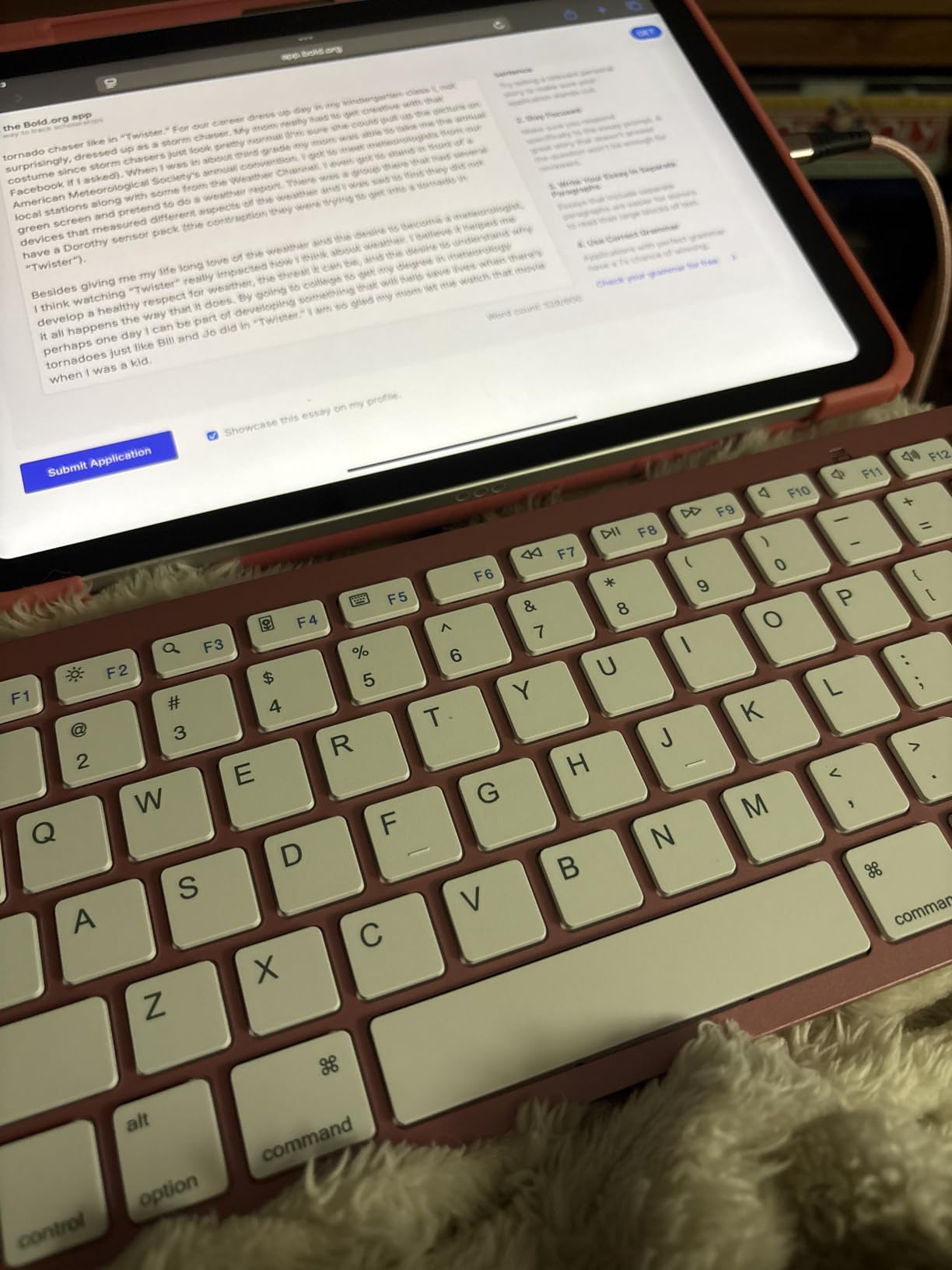 OMOTON Ultra-Slim Bluetooth Keyboard for iPad,iPad Pro/Air/Mini,iPhone customer photo 2