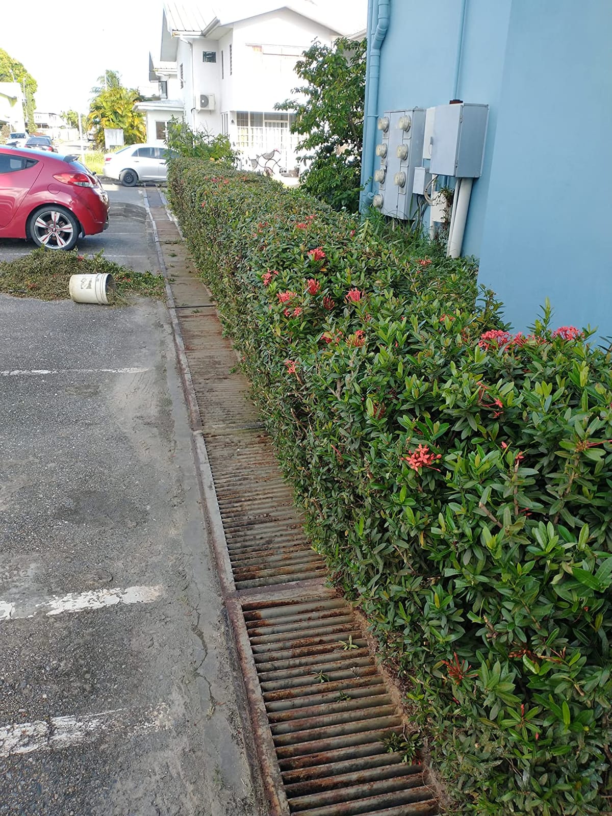 Milwaukee Electric Tools 2726-20 FUEL Hedge Trimmer customer photo 1